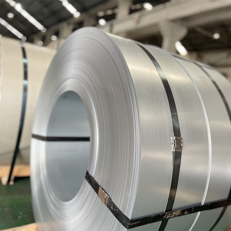 Cold -Rolled Low-Carbon Rigid Strip