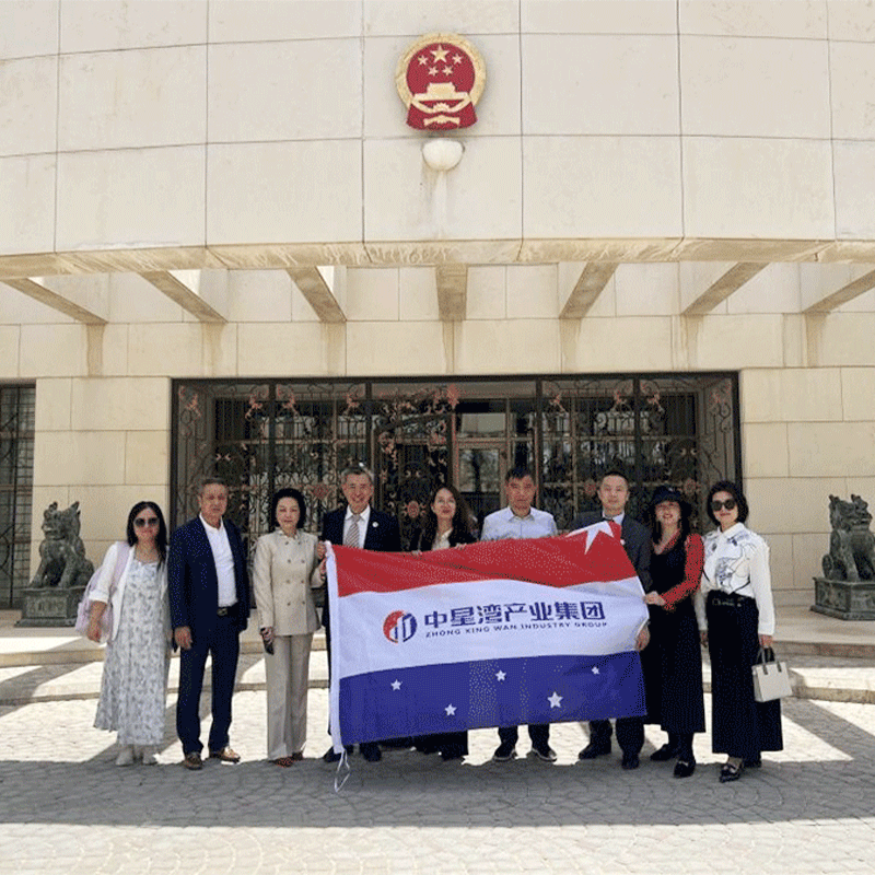 Litai Conducted A Field Investigation On The Factory Building Construction In The Steel Structure Field Of Zhongxingwan Science And Technology Innovation City In Riyadh, Saudi Arabia